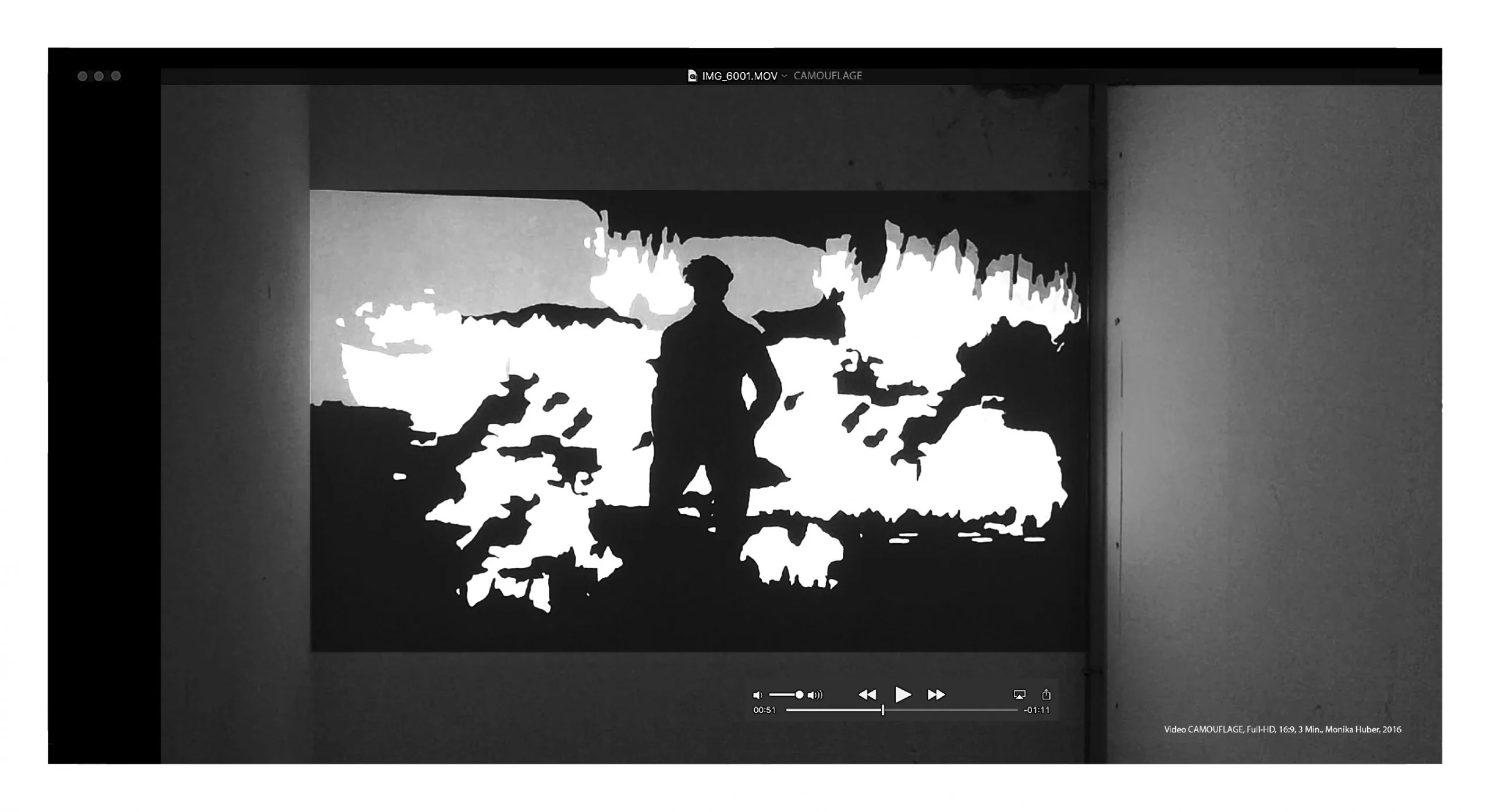 Ausstellungsansicht 3: CAMOUFLAGE von Monika Huber